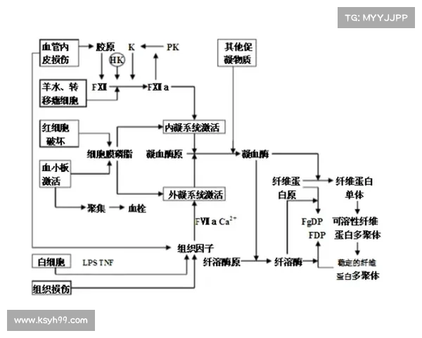 决斗场中的进入障碍问题解析及应对策略全面探讨 决斗场中的进入障碍问题解析及应对策略全面探讨