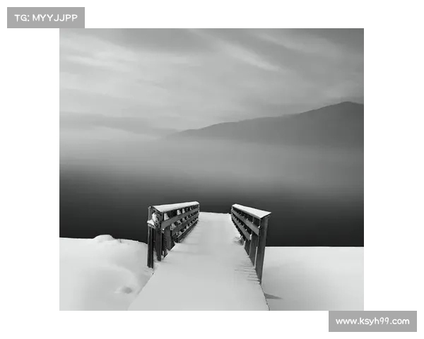 冬日湖畔的静谧世界:雪花轻舞与冰水交织成的诗意画卷 冬日湖畔的静谧世界:雪花轻舞与冰水交织成的诗意画卷